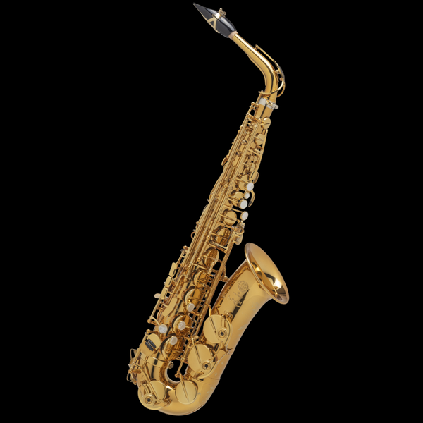 Henri SELMER Paris - Care kit for alto saxophone