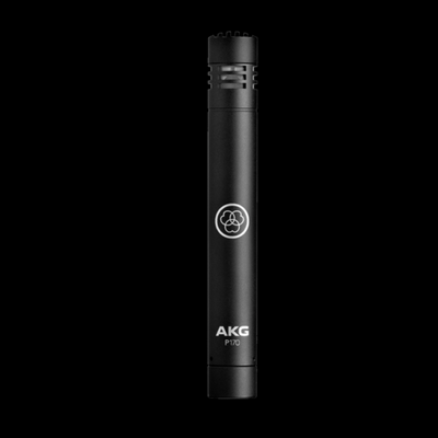 AKG P170 Pro Small Diaphragm-true Condenser Transducer - Palen Music