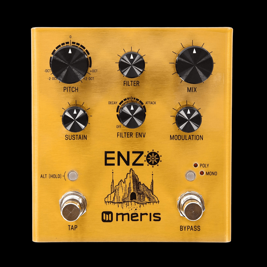 Meris Enzo Multi-Voice Instrument Synthesizer Pedal | Palen Music