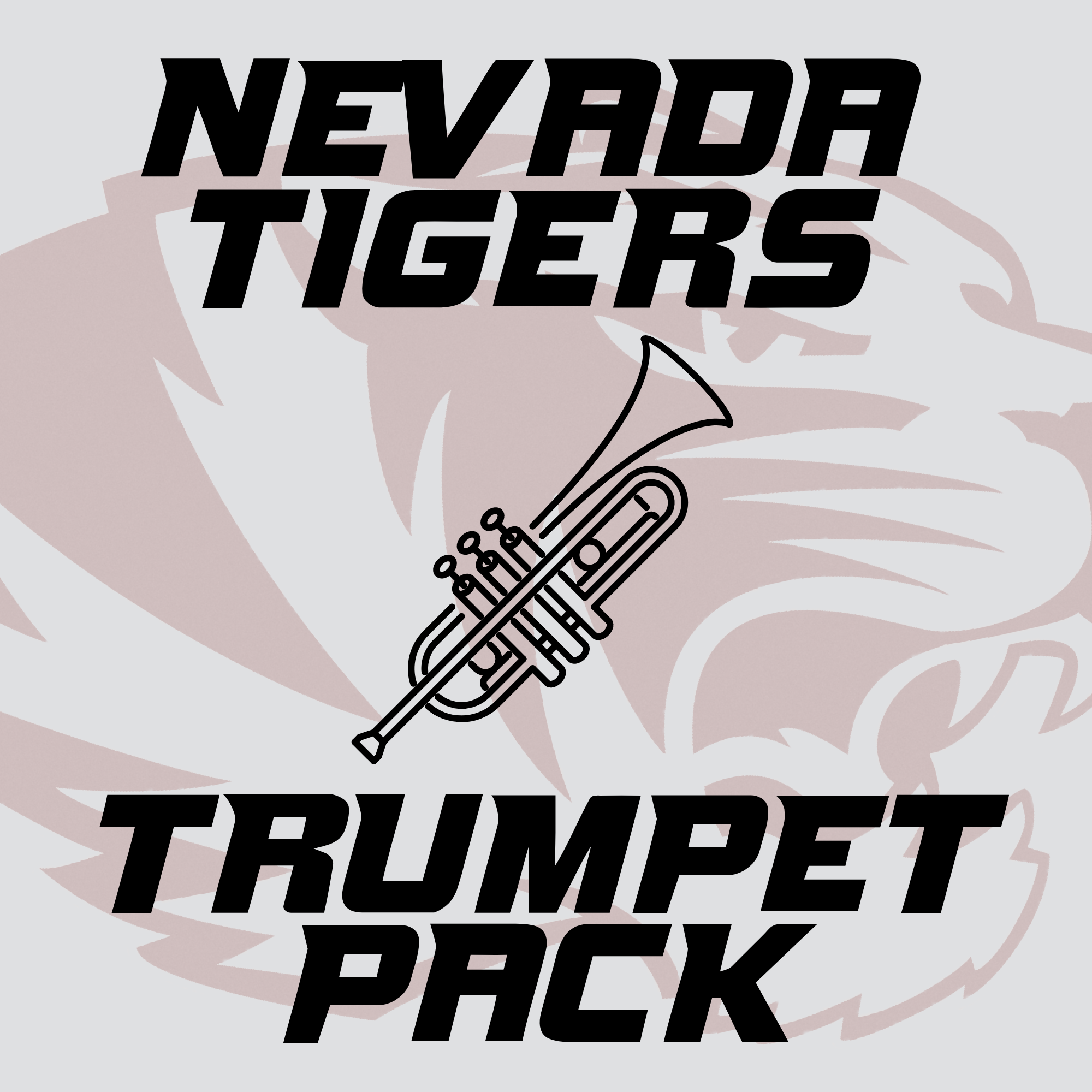 Nevada Trumpet Care Kit