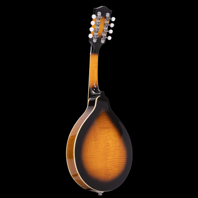 Gold Tone GM-50+ A-Style Mandolin with Pickup and Bag