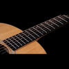 Taylor 117e Grand Pacific Acoustic-Electric Guitar - Natural, with Bag