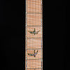 PRS Private Stock DGT "Curly Maple" - Rainforest Glow