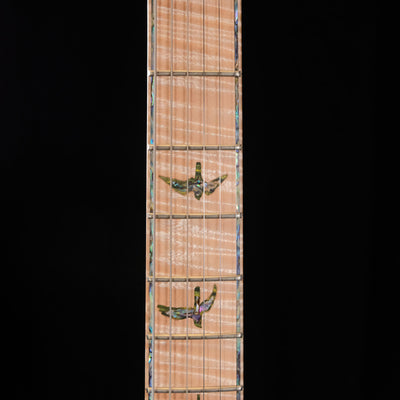 PRS Private Stock DGT "Curly Maple" - Rainforest Glow