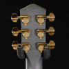 McPherson Honeycomb Top Carbon Touring Acoustic Guitar - Gold Hardware - Palen Music