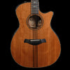 Taylor Builder's Edition 914ce Acoustic Guitar - Honduran Rosewood