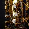 Yamaha YAS-62IIIU Professional Alto Saxophone (Un-lacquered Finish)