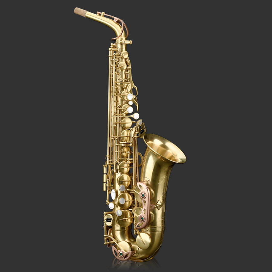 Kit Saxophone Alto Mi Bémol Corps en laiton Pratique Enseignement Débutant  avec nettoyage pinceau chiffon gants Cork graisse - Achat / Vente saxophone  Alto Eb Sax Saxophone Set 