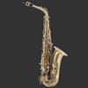 Chateau Alto Saxophone Chambord 50 Series (Antique) - CAS50AN - Palen Music