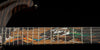 Private Stock 40th Anniversary McCarty Dragon Limited Edition - Preorder