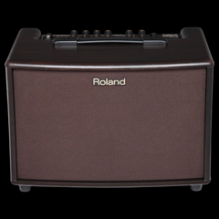Roland AC-60 - 60-watt 2x6.5